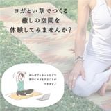 ҥ  ޥå 襬ޥå ƥ - 60180cm   ˤ å ƥꥢޥå G8237100 1331070010204  Բġ̳ۡƻΥԲġ--