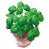 ARTEC �����ƥå� �Х��� 0.5mL ���� �޹���������׎̎Ď��Ύˎގ� 102989 �ڥ���󥻥��Բġ��̳�ƻ����Υ�������Բġ�-��������-