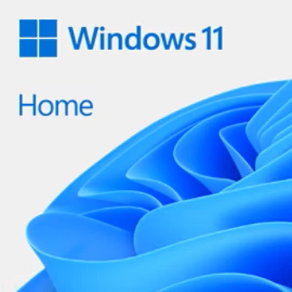 Windows 11  パッケージ　日本語版　SKU-HAJ-00094 4549576190358 Microsoft Windows 11 Home 日本語版 パッケージ版 HAJ