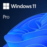 Microsoft Windows 11 Pro ÆüËܸìÈÇ ¥Ñ¥Ã¥±¡¼¥¸ÈÇ HAV-00213