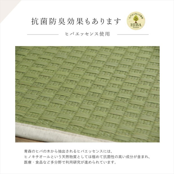 ҥ  ޥå 襬ޥå plain ʥ 66185cm   襬ޥå ˤ å ƥꥢޥå G8244000 1330160010304  Բġ̳ۡƻΥԲġ--