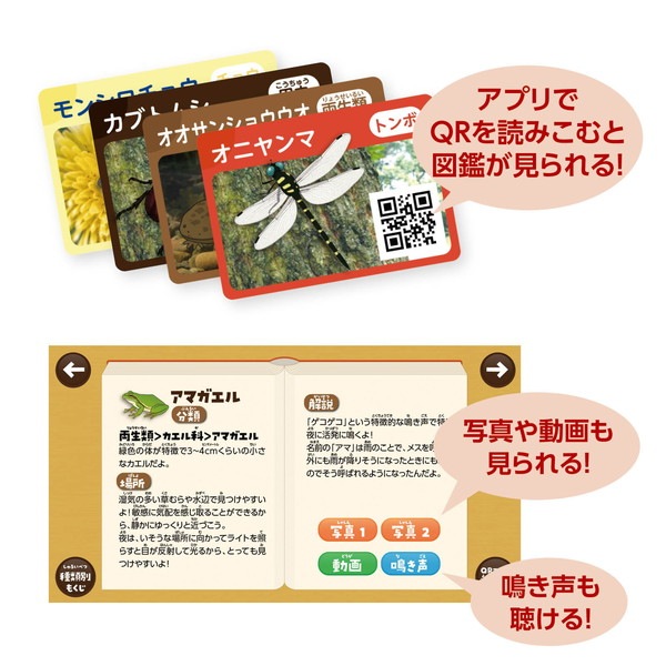 ARTEC アーテック 探検!いきものはっけんすごろく 知育玩具 21664 【キャンセル不可・北海道沖縄離島配送不可】-お取り寄せ品-