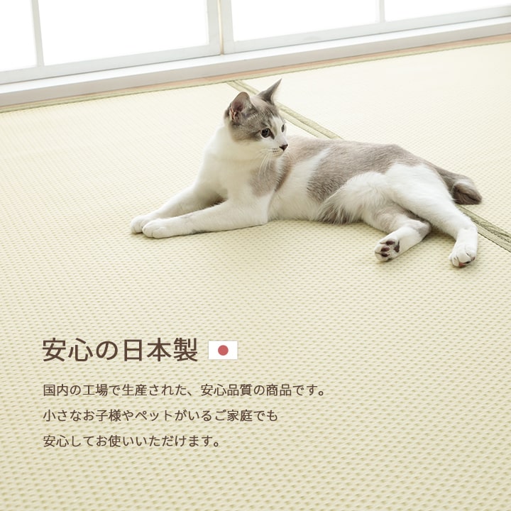 イケヒコ 洗える ござ 日本製 国産 カーペット リバーシブル 丈夫 除菌スプレー対応 敷詰 ラグ 敷物 ペット グリーン 江戸間4.5畳(約261×261cm) 1090740121102【代引き不可】【北海道沖縄離島は配送不可】-お取り寄せ品-