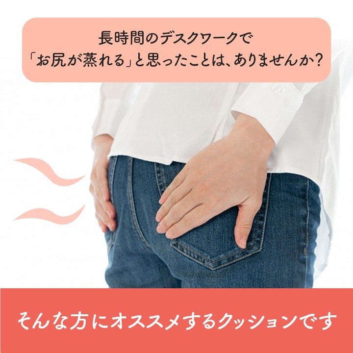 �����ҥ� ���ե��� �ǥ��� ��� ���ݡ��� ���å���� ���� ���� �ý� ���饵�� �֥�å� ��40��40cm 1212080038701��������Բġۡ��̳�ƻ����Υ��������Բġ�-��������-