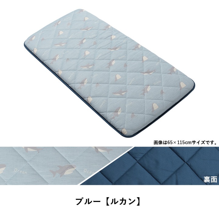 �����ҥ� ���å���� ������ �䴶 �Ҥ��� ������ ���� ������ ���� �֥롼 ��65��180cm 1223670041325��������Բġۡ��̳�ƻ����Υ��������Բġ�-��������-