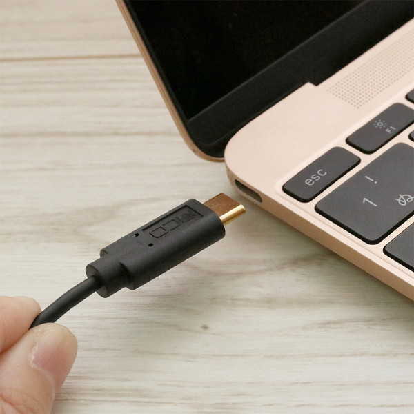 ߥ襷 USB Type-C-ԎΎѴގ̎ߎ DAC¢  SAD-CE04/BK 
