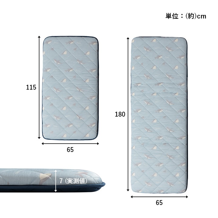 �����ҥ� ���å���� ������ �䴶 �Ҥ��� ������ ���� ������ �ڥ󥮥� �֥롼 ��65��180cm 1223680041325��������Բġۡ��̳�ƻ����Υ��������Բġ�-��������-