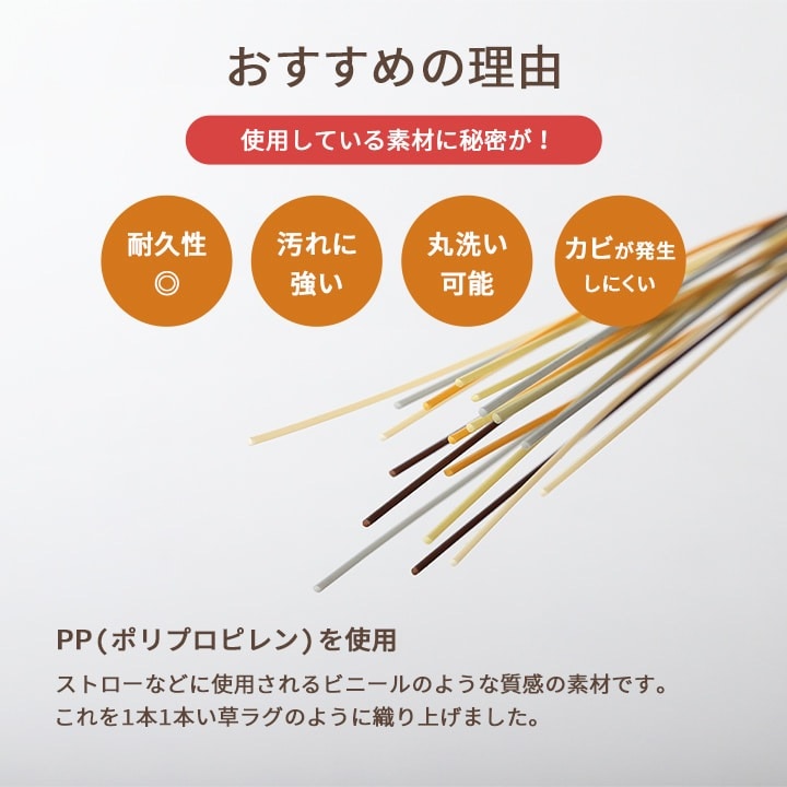 イケヒコ 洗える ござ 日本製 国産 カーペット リバーシブル 丈夫 除菌スプレー対応 敷詰 ラグ 敷物 ペット グレー 江戸間6畳(約261×352cm) 1090740131202【代引き不可】【北海道沖縄離島は配送不可】-お取り寄せ品-