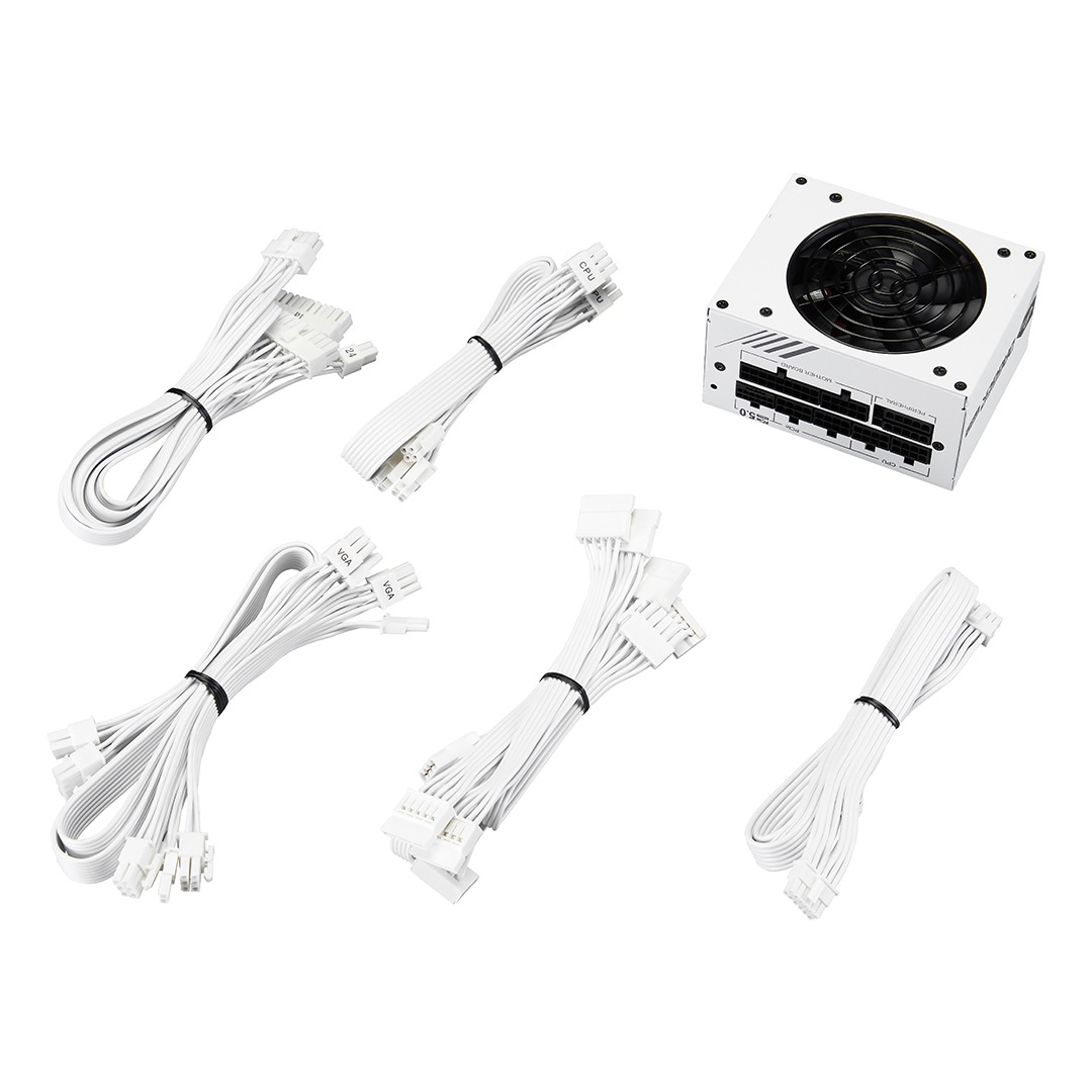 FSP SDA2-850 Gen5.W PC�Ÿ� DAGGER PRO ATX3.0(PCIe5.0) 850W White �ڥ���󥻥��Բġ��̳�ƻ����Υ�������Բġ�