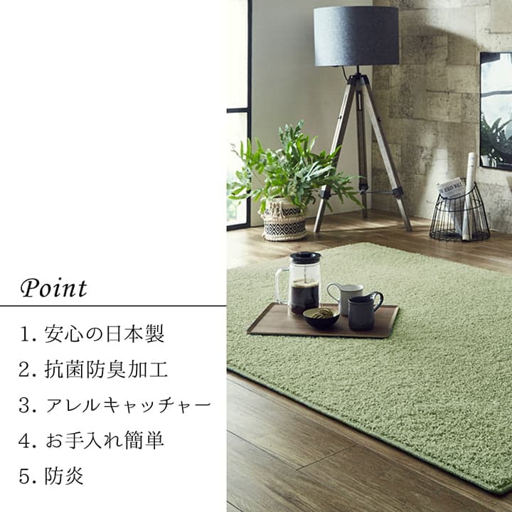 �����ҥ� ���� ���� �ý� ���� �饰 �����ڥå� �ɱ� ����륭��å��㡼 �������ʪ�� �����к� ���㥮�� ̵�� ���졼���� ��1.5�� ��150��150cm 1340740347103��������Բġۡ��̳�ƻ����Υ��������Բġ�-��������-