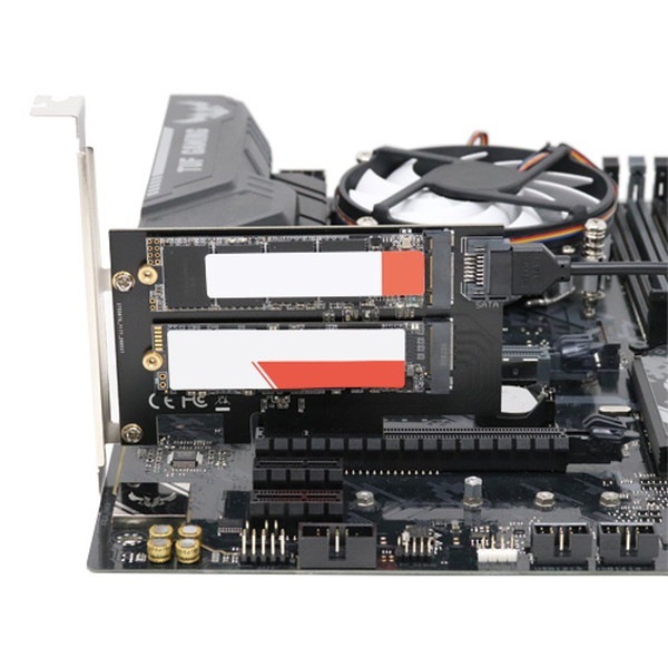 Ainex �����ͥå��� M.2 NVMe SSD�Ѵ�PCIe������ SATA����� AIF-09�ڥ���󥻥��Բġ��̳�ƻ����Υ�������Բġ� -������-