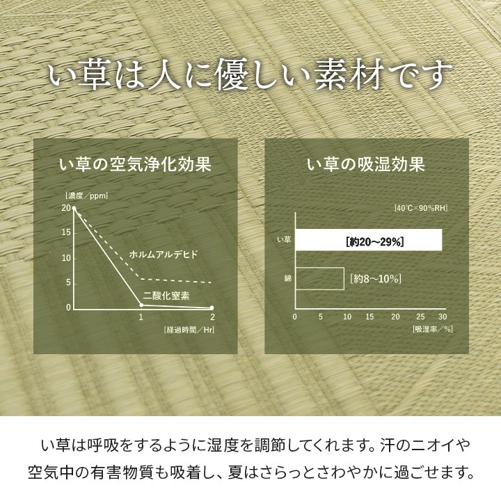 �����ҥ� ���ߤ� ���𥫡��ڥå� �Ծ����� �¼�  ��261��261cm ���ʹ�4.5�� 1031360010402��������Բġۡ��̳�ƻ����Υ��������Բġ�-��������-