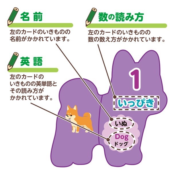 ARTEC ƥå Τ碌ɥ ΰ 7178 ڥ󥻥Բġ̳ƻΥԲġ--