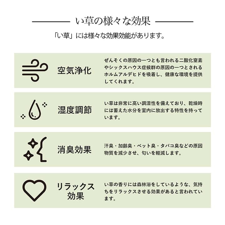 イケヒコ い草ラグ 花ござ カーペット 格子柄 ナチュラル シンプル 和室 洋室 裏不織布滑り止め 滑りにくい 抗菌防臭 消臭 お手入れ簡単 夏快適さらさら 江戸間6畳 (約261×352cm)レイクブルー 1031290040602【代引き不可】【北海道沖縄離島は配送不可】-お取り寄せ品-
