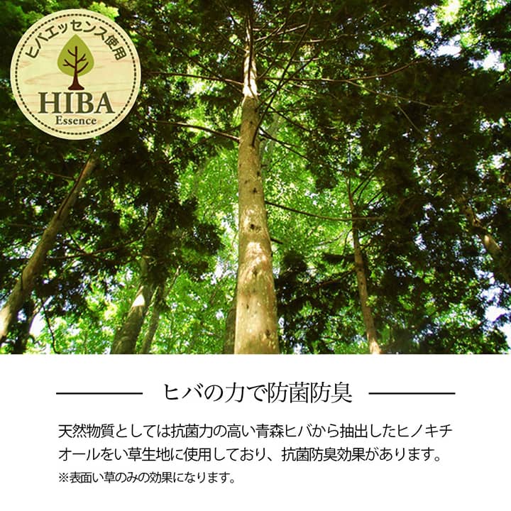 イケヒコ い草ラグ 花ござ カーペット 格子柄 ナチュラル シンプル 和室 洋室 裏不織布滑り止め 滑りにくい 抗菌防臭 消臭 お手入れ簡単 夏快適さらさら 江戸間6畳 (約261×352cm)レイクブルー 1031290040602【代引き不可】【北海道沖縄離島は配送不可】-お取り寄せ品-