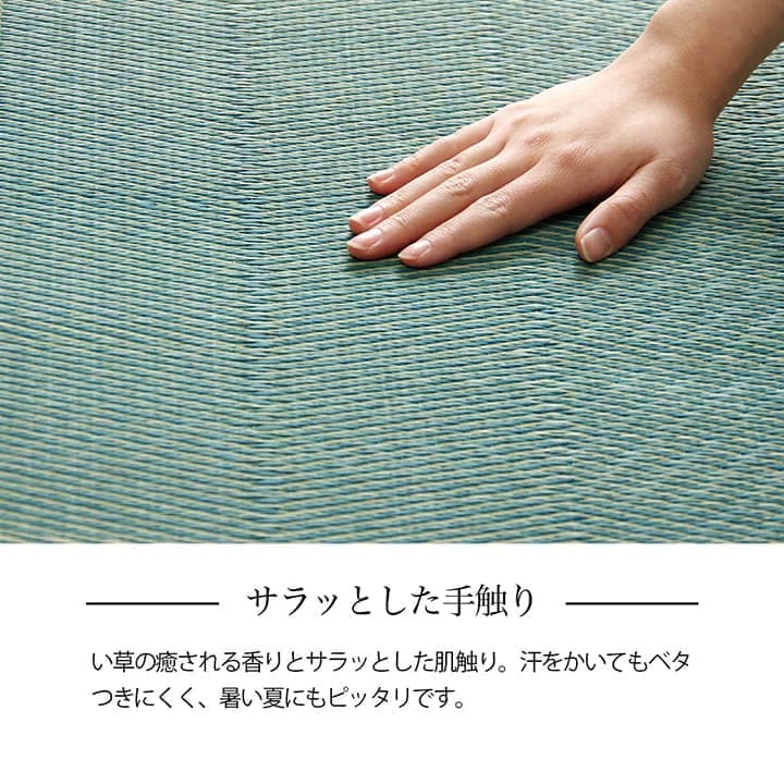 イケヒコ い草ラグ 花ござ カーペット 格子柄 ナチュラル シンプル 和室 洋室 裏不織布滑り止め 滑りにくい 抗菌防臭 消臭 お手入れ簡単 夏快適さらさら 江戸間6畳 (約261×352cm)レイクブルー 1031290040602【代引き不可】【北海道沖縄離島は配送不可】-お取り寄せ品-