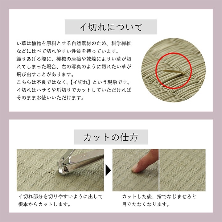 �����ҥ� ���� �� �����Ǻ� �����ڥå� �饰 ����ƥꥢ ���� ���� ̵�� �ä��� �����å��� ����ץ� ������� ���ߤ� ���å������ �֥롼 ��180��180cm 1071800042910��������Բġۡ��̳�ƻ����Υ��������Բġ�-��������-