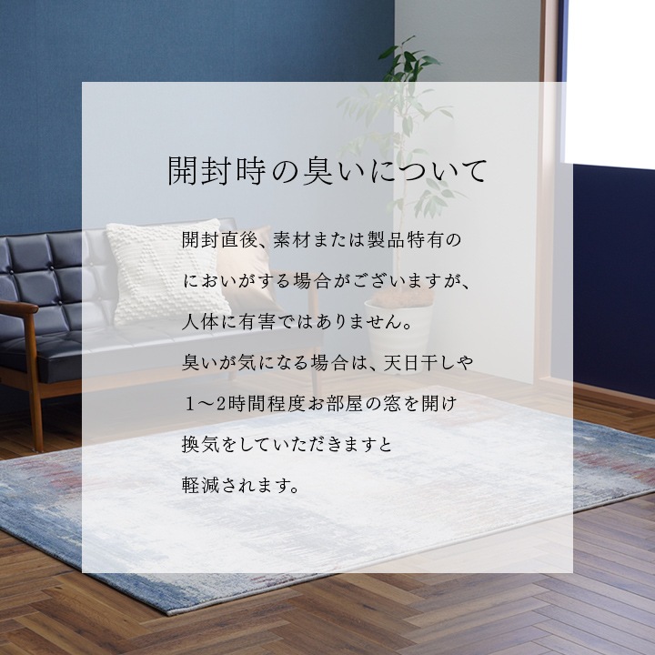 �����ҥ� �����ڥå� �ǥ�����饰 ������ȥ󥫡��ڥå� Ĺ���� ������� ��200��250cm 1321590010601��������Բġۡ��̳�ƻ����Υ��������Բġ�-��������-