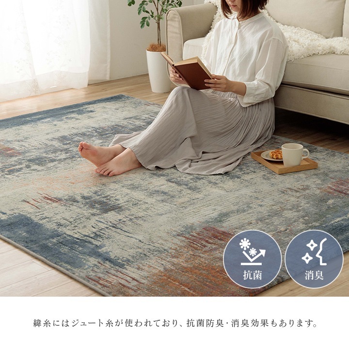 �����ҥ� �����ڥå� �ǥ�����饰 ������ȥ󥫡��ڥå� Ĺ���� ������� ��240��330cm 1321590010901��������Բġۡ��̳�ƻ����Υ��������Բġ�-��������-