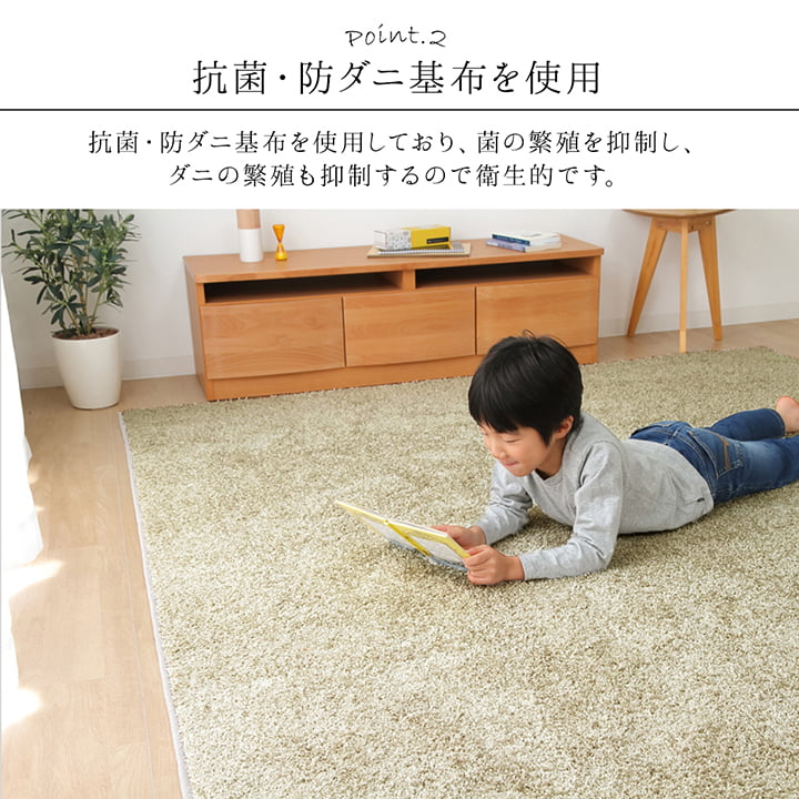 �����ҥ� ���� ���� �ý� ���� �饰 �����ڥå� �ɱ� ����륭��å��㡼 �������ʪ�� �����к� ���㥮�� ̵�� ���졼���� ��2.6�� ��200��200cm 1340740347603��������Բġۡ��̳�ƻ����Υ��������Բġ�-��������-