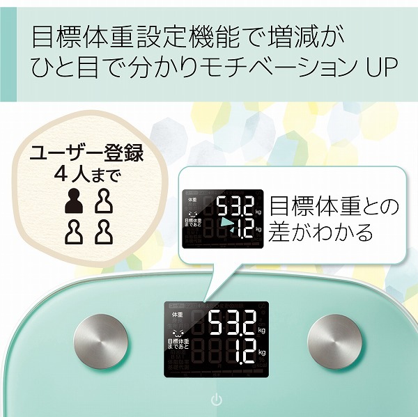 ELECOM ���쥳�� HCS-FS03GN �����؎��������� FS03���؎����� ���ގ؎��� �ڥ���󥻥��Բġ��̳�ƻ����Υ�������Բġ�