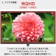 Pixio �����ߥ󥰥�˥��� PX278WAVEYL-O �������� PX278 Wave  /  Yellow 27����� WQHD 180Hz 2560x1440 ����ü��:HDMIx2/DPx1 �վ��ǥ����ץ쥤 �ڥ���󥻥��Բġ��̳�ƻ����Υ�������Բġ�
