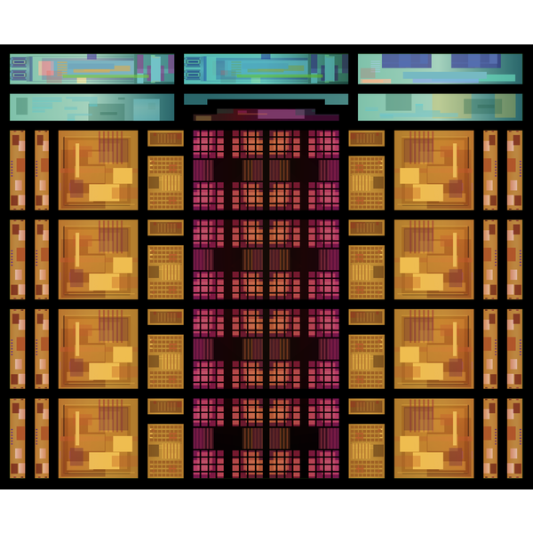 CPU AMD Ryzen 9 9900X, without Cooler 100-100000662WOF Socket : AM5 【キャンセル不可・北海道沖縄離島配送不可】