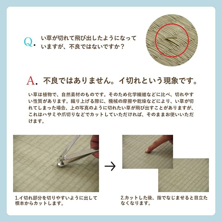 �����ҥ� ����饰 �֤��� �����ڥå� �ʻ��� �ʥ����� ����ץ� �¼� �μ� ΢�Կ��۳��ߤ� ���ˤ��� �����ɽ� �ý� ���������ñ �Ʋ�Ŭ���餵�� �ܴ�6�� (��286��382cm�˥֥饦�� 1031290061302��������Բġۡ��̳�ƻ����Υ��������Բġ�-��������-