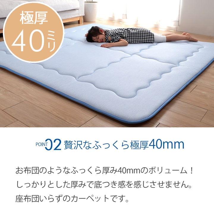 �����ҥ� �䴶 �ܿ��䴶 �Ҥ��� �����ڥå� �饰 ���� �ܥ�塼�� �֥롼 ������ �� 2�� 190��190cm 1161760040813��������Բġۡ��̳�ƻ����Υ��������Բġ�-��������-