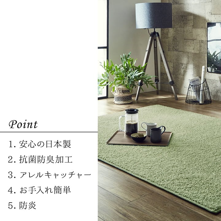 �����ҥ� ���� ���� �ý� ���� �饰 �����ڥå� �ɱ� ����륭��å��㡼 �������ʪ�� �����к� ���㥮�� ̵�� �����ܥ꡼ ��3.9�� ��200��300cm 1340740142303��������Բġۡ��̳�ƻ����Υ��������Բġ�-��������-