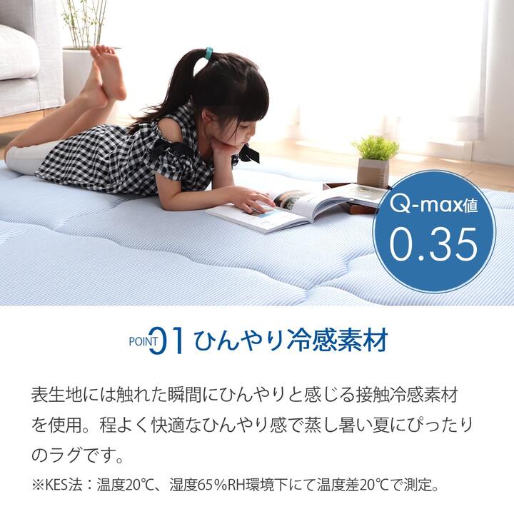 �����ҥ� �䴶 �ܿ��䴶 �Ҥ��� �����ڥå� �饰 ���� �ܥ�塼�� �֥롼 Ĺ���� �� 3�� 190��240cm 1161760040913��������Բġۡ��̳�ƻ����Υ��������Բġ�-��������-