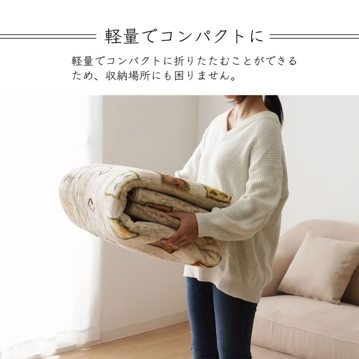 イケヒコ ラグ 長方形 オールシーズン 洗える 軽い コンパクト ギャベ柄 ベージュ 約200×250cm ホットカーペット対応 柔らかい 1271740023201【代引き不可】【北海道沖縄離島は配送不可】-お取り寄せ品-