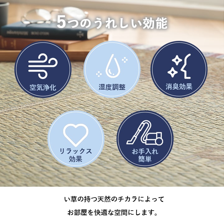 �����ҥ� ����饰�������ڥåȲ��ѡ������Ǻࡡ���š���Ŭ������ƥꥢ�� ����٥��� ����ץ롡������졡�������� ����Ĵ�� �ý����� ���������ñ �֥롼����120��180cm 1061930042504��������Բġۡ��̳�ƻ����Υ��������Բġ�-��������-