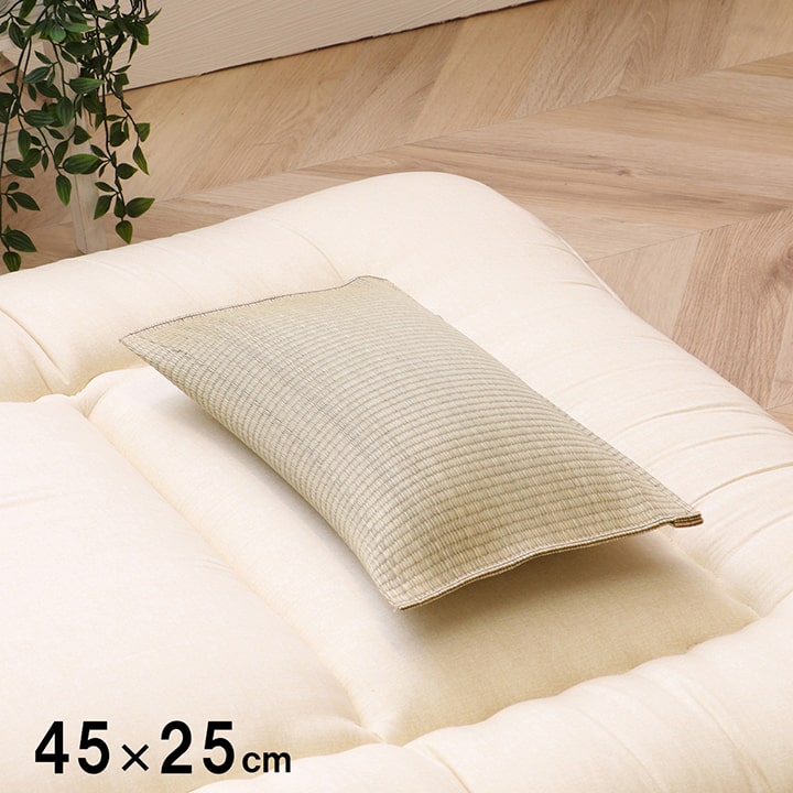 �����ҥ� ���� �� ʿ�� ���� ������ �� ����ץ� ��ȿȯ  Ĵ���� �ý� �������� ��45��25cm 3600669 JAN:4956642009283 -��������-������������������Բġۡ��̳�ƻ����Υ��������Բġ�
