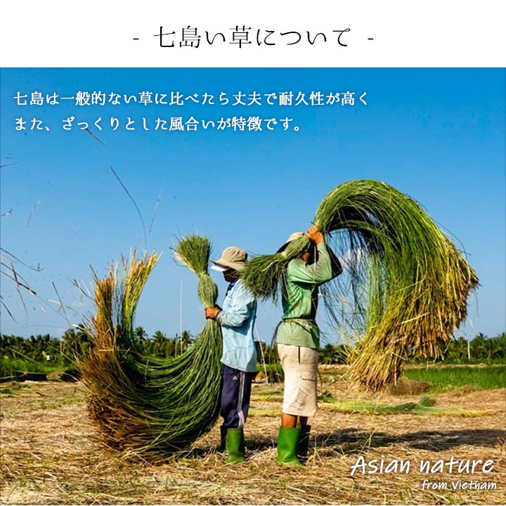 �����ҥ� ���� �»��� ������ ��� Ȣ�ռ��礤�� �٥ȥʥ��� ���ե� ����ץ� �֥롼 L(Ŭ��������24.5��26cm) 1141510041002��������Բġۡ��̳�ƻ����Υ��������Բġ�-��������-