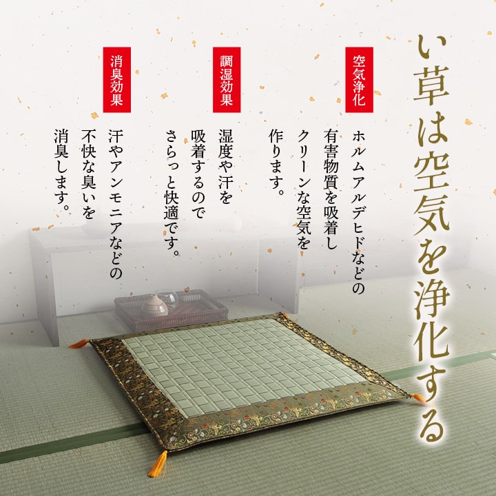 �����ҥ� ������ ���� �������� �� ˡ�� ʩ�� ��� ����ץ� ��88��120cm 1131070013802��������Բġۡ��̳�ƻ����Υ��������Բġ�-��������-