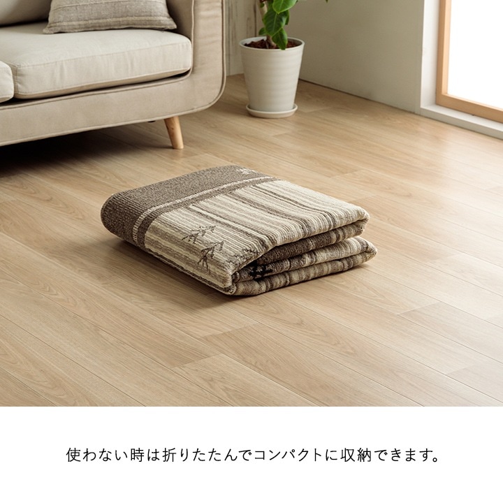 �����ҥ� �����ڥåȡ����ݥ饰���ý��饰���������륹���ۥåȥ����ڥå��б� �����˥󥰥饰 Ĺ���� ������� ��190��290cm �֥饦�� 1341440062203��������Բġۡ��̳�ƻ����Υ��������Բġ�-��������-