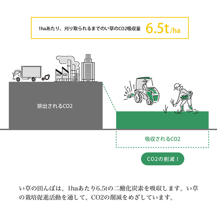 �����ҥ� ���� �꡼�� ���� ���� �ý����� ��å饯������ ����� ��20cm�� 1370350015108��������Բġۡ��̳�ƻ����Υ��������Բġ�-��������-
