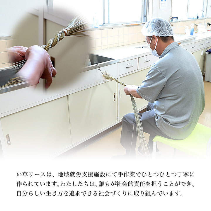 �����ҥ� ���� �꡼�� ���� ���� �ý����� ��å饯������ ����� ��20cm�� 1370350015108��������Բġۡ��̳�ƻ����Υ��������Բġ�-��������-