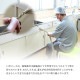�����ҥ� ���� �꡼�� ���� ���� �ý����� ��å饯������ ����� ��20cm�� 1370350015108��������Բġۡ��̳�ƻ����Υ��������Բġ�-��������-