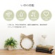 �����ҥ� ���� �꡼�� ���� ���� �ý����� ��å饯������ ����� ��20cm�� 1370350015108��������Բġۡ��̳�ƻ����Υ��������Բġ�-��������-