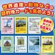 ARTEC アーテック 知育玩具 すごろく わくわく世界旅行すごろく 商品番号 3036 お取り寄せ