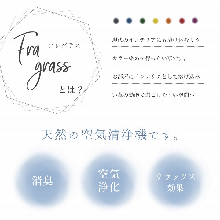 イケヒコ フレグラス インテリア 飾り 消臭剤 おしゃれ 落ち着く リビングインテリア 玄関飾り ブルー 約 70cm×50g 1370040040504【代引き不可】【北海道沖縄離島は配送不可】-お取り寄せ品-