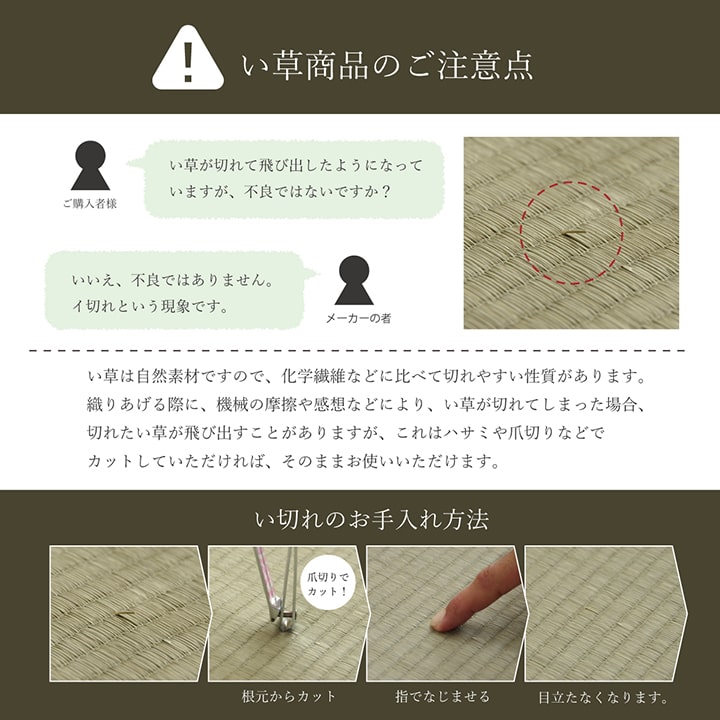 イケヒコ 敷物 花ござ 国産 純国産 日本製 小林製薬 持続性抗菌剤 KOBA-GUARD 制菌 抗菌防臭 夏 い草 市松 モダン 滑り止め 不織布 ベージュ 江戸間6畳 約261×352cm 1080500020602【代引き不可】【北海道沖縄離島は配送不可】-お取り寄せ品-