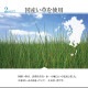 イケヒコ 敷物 花ござ 国産 純国産 日本製 小林製薬 持続性抗菌剤 KOBA-GUARD 制菌 抗菌防臭 夏 い草 市松 モダン 滑り止め 不織布 ベージュ 江戸間6畳 約261×352cm 1080500020602【代引き不可】【北海道沖縄離島は配送不可】-お取り寄せ品-