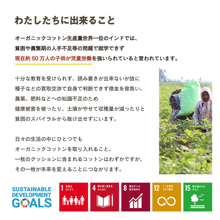 �����ҥ� ���å���� ������ �ػ� ������ �������˥å����åȥ� ��100% ̵�� ������ �١����� ��40��40cm 1210250020201��������Բġۡ��̳�ƻ����Υ��������Բġ�-��������-