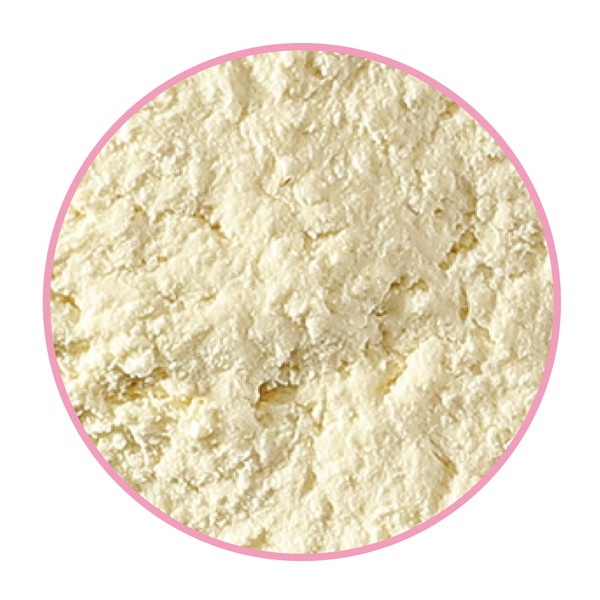 ARTEC �����ƥå� �ǥ����ȥ��쥤 100g �޹���������׎̎Ď��Ύˎގ� 23376 �ڥ���󥻥��Բġ��̳�ƻ����Υ�������Բġ�-��������-