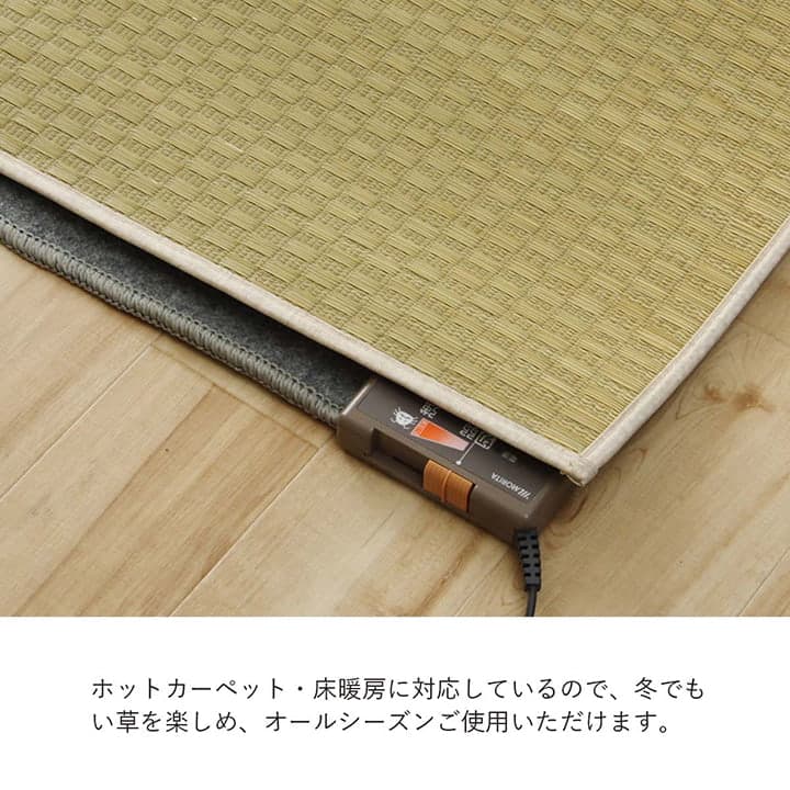 �����ҥ� �饰 Ĺ���� ���� ������ �� �����Ǻ� �ʥ����� �Ծ��� �����륷������ �ý� ����ץ� ��191��300cm �ۥåȥ����ڥå��б� ����˼�б� 1051631014105��������Բġۡ��̳�ƻ����Υ��������Բġ�-��������-