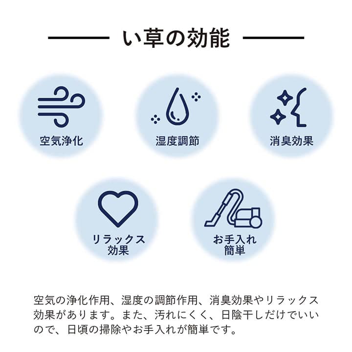 �����ҥ� �饰 Ĺ���� ���� ������ �� �����Ǻ� �ʥ����� �Ծ��� �����륷������ �ý� ����ץ� ��191��300cm �ۥåȥ����ڥå��б� ����˼�б� 1051631014105��������Բġۡ��̳�ƻ����Υ��������Բġ�-��������-