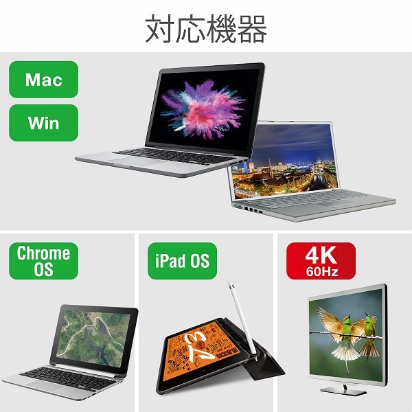 ELECOM 쥳 AD-CHDMIPDBK Type-CѴގ̎ߎ TypeC-HDMI&ŎΎߎ ̎ގ׎ ڥ󥻥Բġ̳ƻΥԲġ